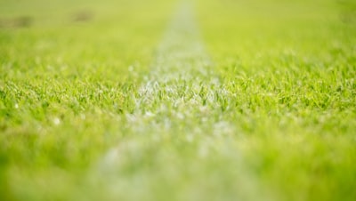 موعد مباريات دور ال16 دوري ابطال اوروبا 2025